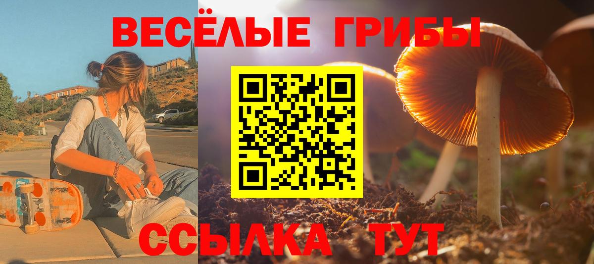 Галлюциногенные грибы прущие грибы  Вход с VPN  Псилоцибиновые грибы GOLDEN TEACHER  хочу наркоту  Евпатория 