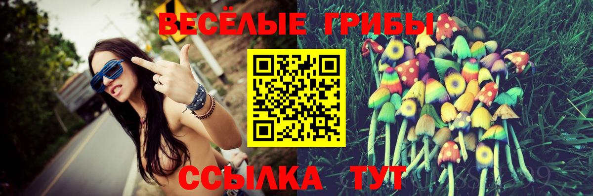 Псилоцибиновые грибы ЛСД Евпатория